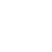 Female cabin crew member icon