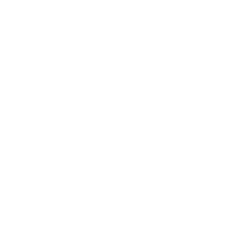 Plane icon