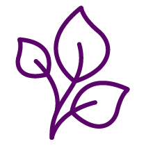 Plant with three leaves icon